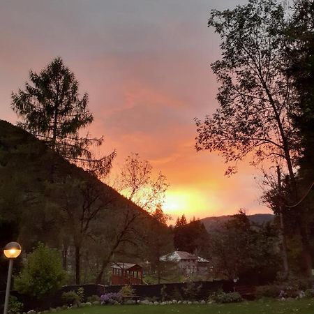 Soggiorno Vacanze Stella Alpina Temù Extérieur photo