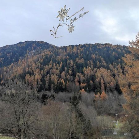 Soggiorno Vacanze Stella Alpina Temù Extérieur photo