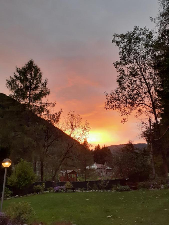 Soggiorno Vacanze Stella Alpina Temù Extérieur photo