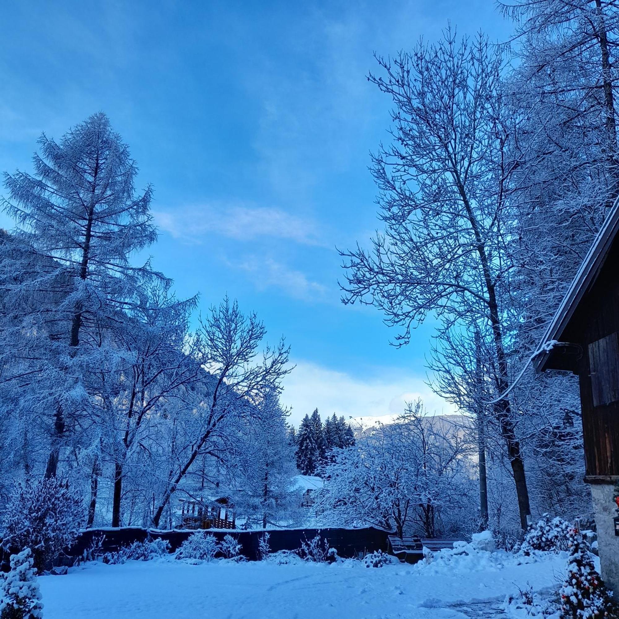 Soggiorno Vacanze Stella Alpina Temù Extérieur photo