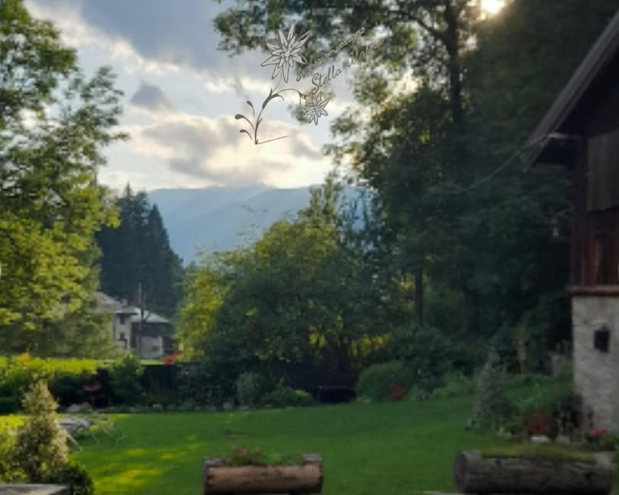 Soggiorno Vacanze Stella Alpina Temù Chambre photo