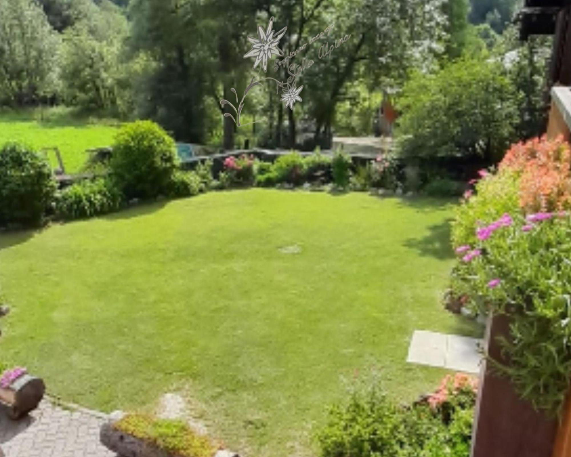 Soggiorno Vacanze Stella Alpina Temù Chambre photo
