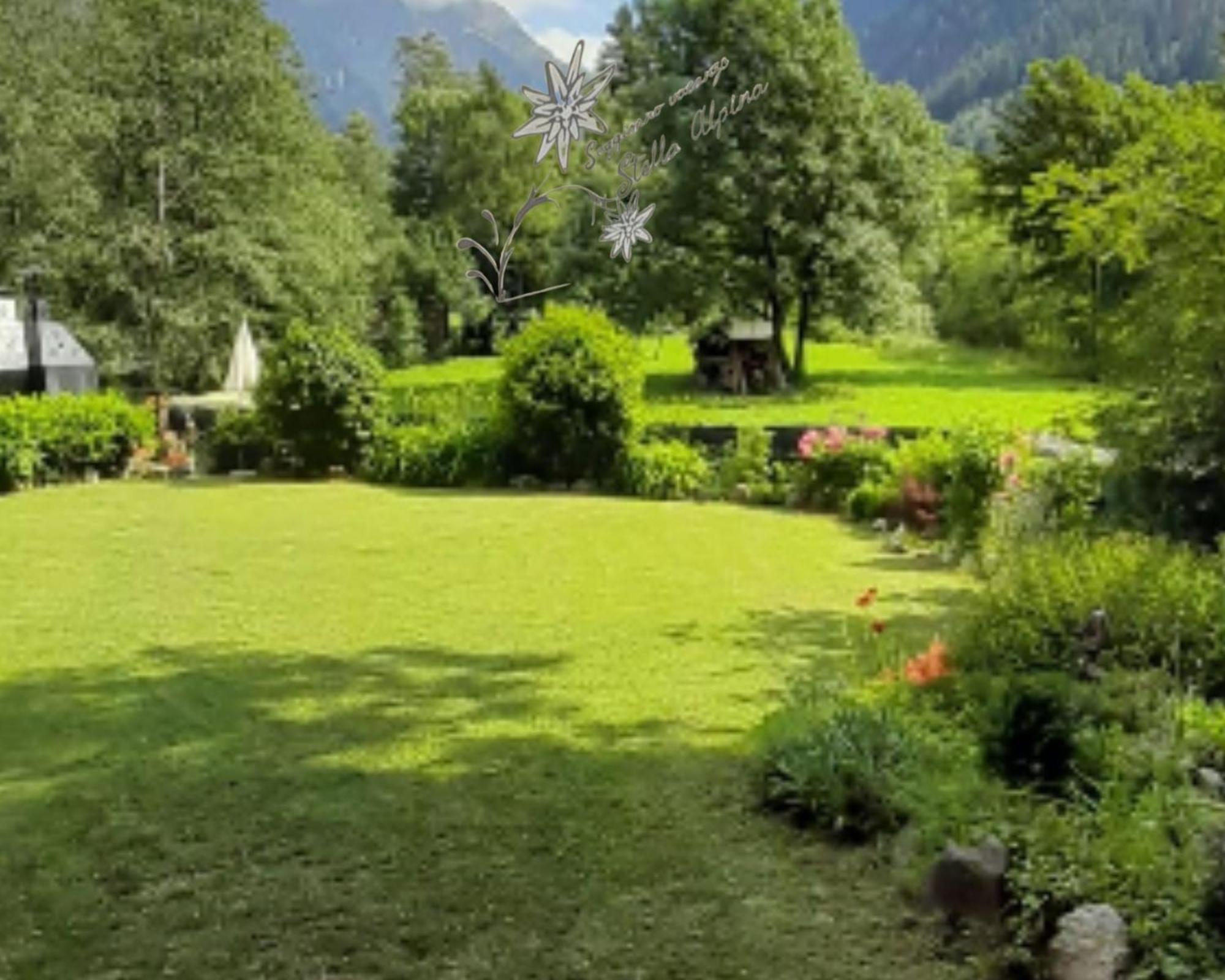Soggiorno Vacanze Stella Alpina Temù Extérieur photo